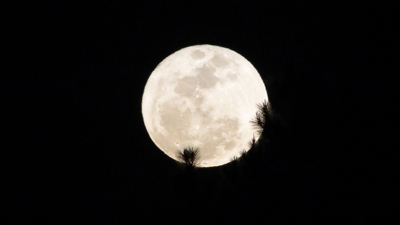 Когда будет следующая луна. Перигей Луны. Луна приближается к земле. Лунаааа. Нежные картинки с черным фоном подходящие к Луне.
